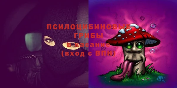 соль ск Абдулино