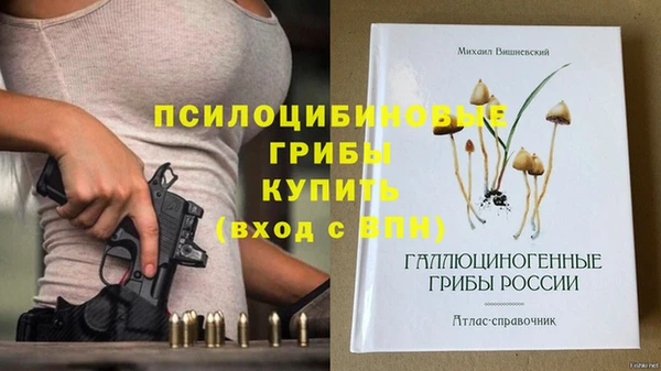 соль ск Абдулино