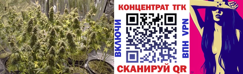 где продают   Дербент  ТГК THC oil 