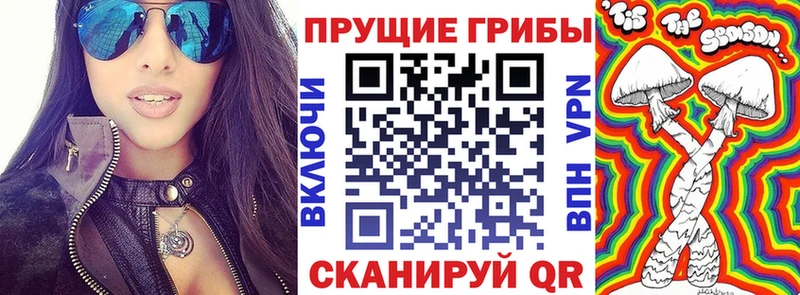 закладка  Дербент  сайты даркнета состав  Галлюциногенные грибы MAGIC MUSHROOMS 